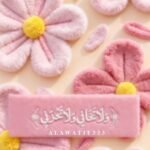 Rehab Zahran